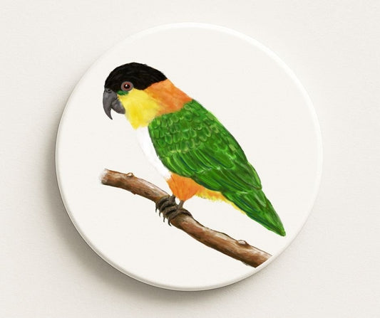 Black - headed Caique Ceramic Coaster - MerikaArt