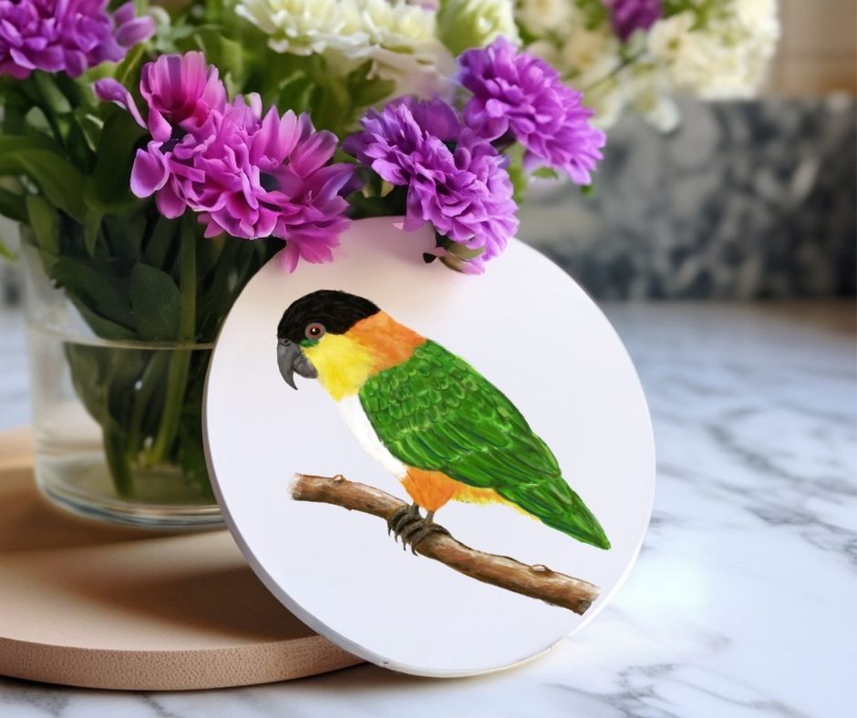 Black - headed Caique Ceramic Coaster - MerikaArt