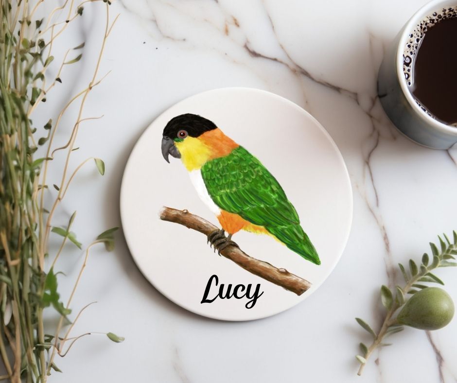 Black - headed Caique Ceramic Coaster - MerikaArt