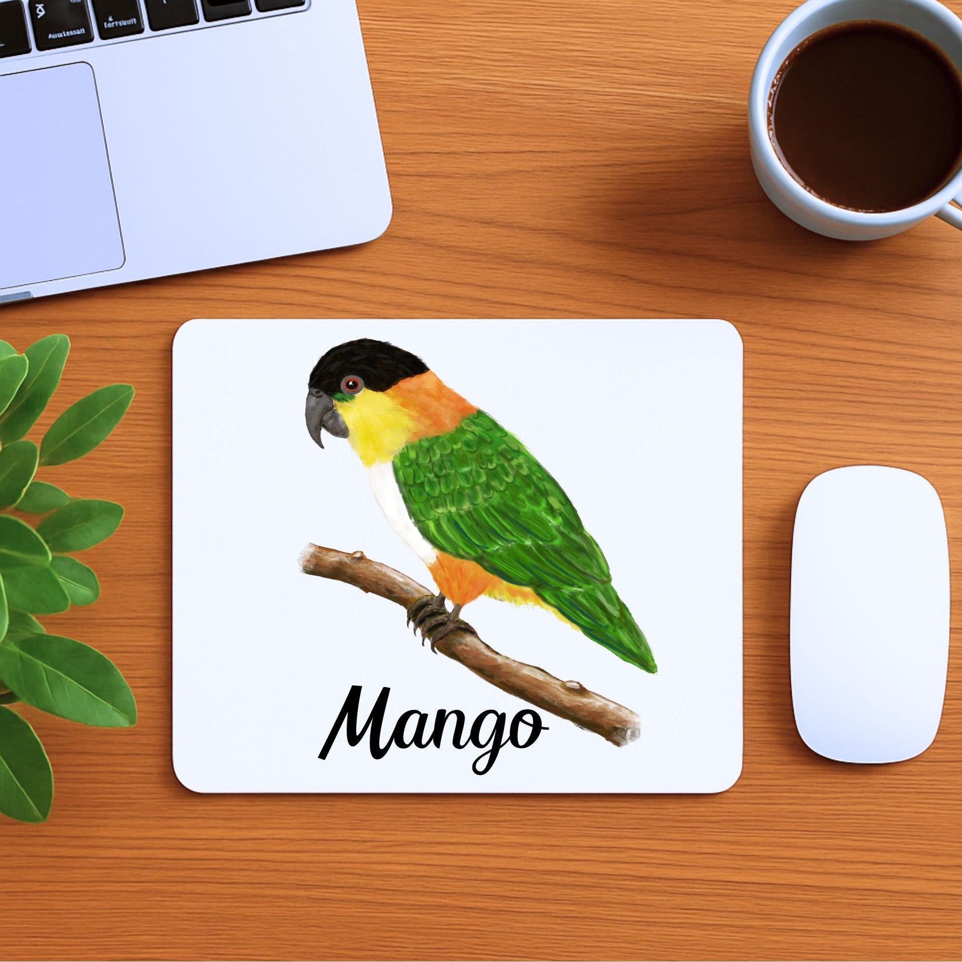 Black - Headed Caique Mousepad - MerikaArt