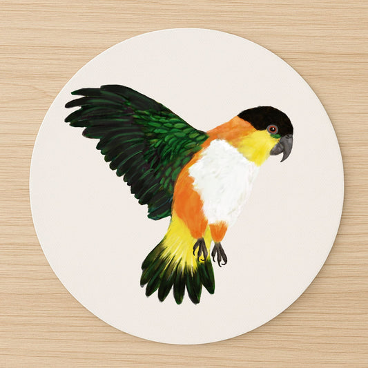 Black - Headed Caique Mousepad - MerikaArt