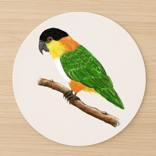 Black - Headed Caique Mousepad - MerikaArt