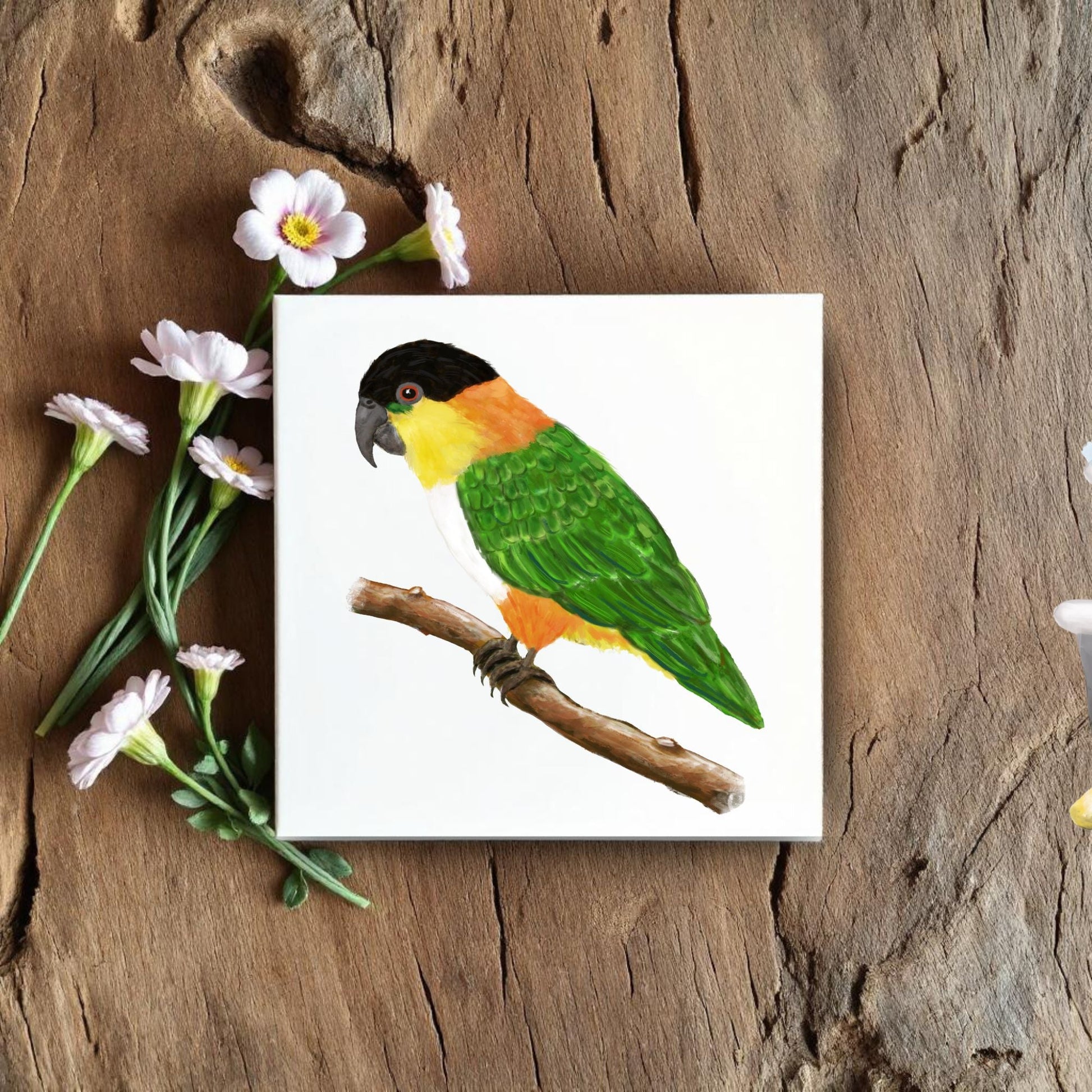Black Headed Caique Parrot Ceramic Tile - MerikaArt