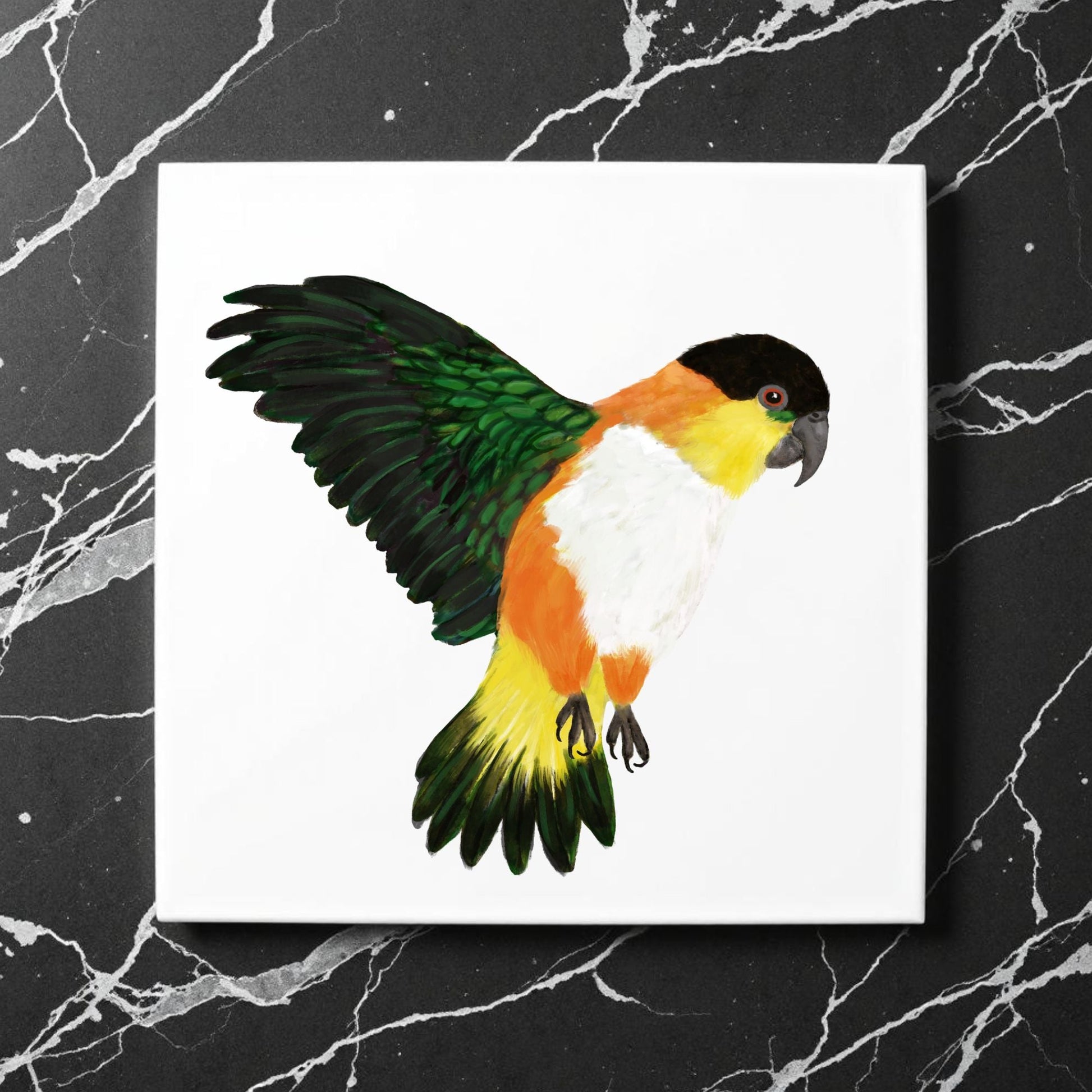 Black Headed Caique Parrot Ceramic Tile - MerikaArt