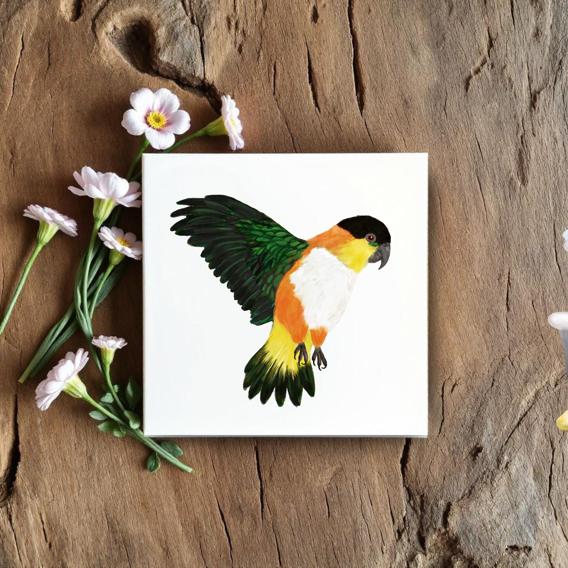 Black Headed Caique Parrot Ceramic Tile - MerikaArt