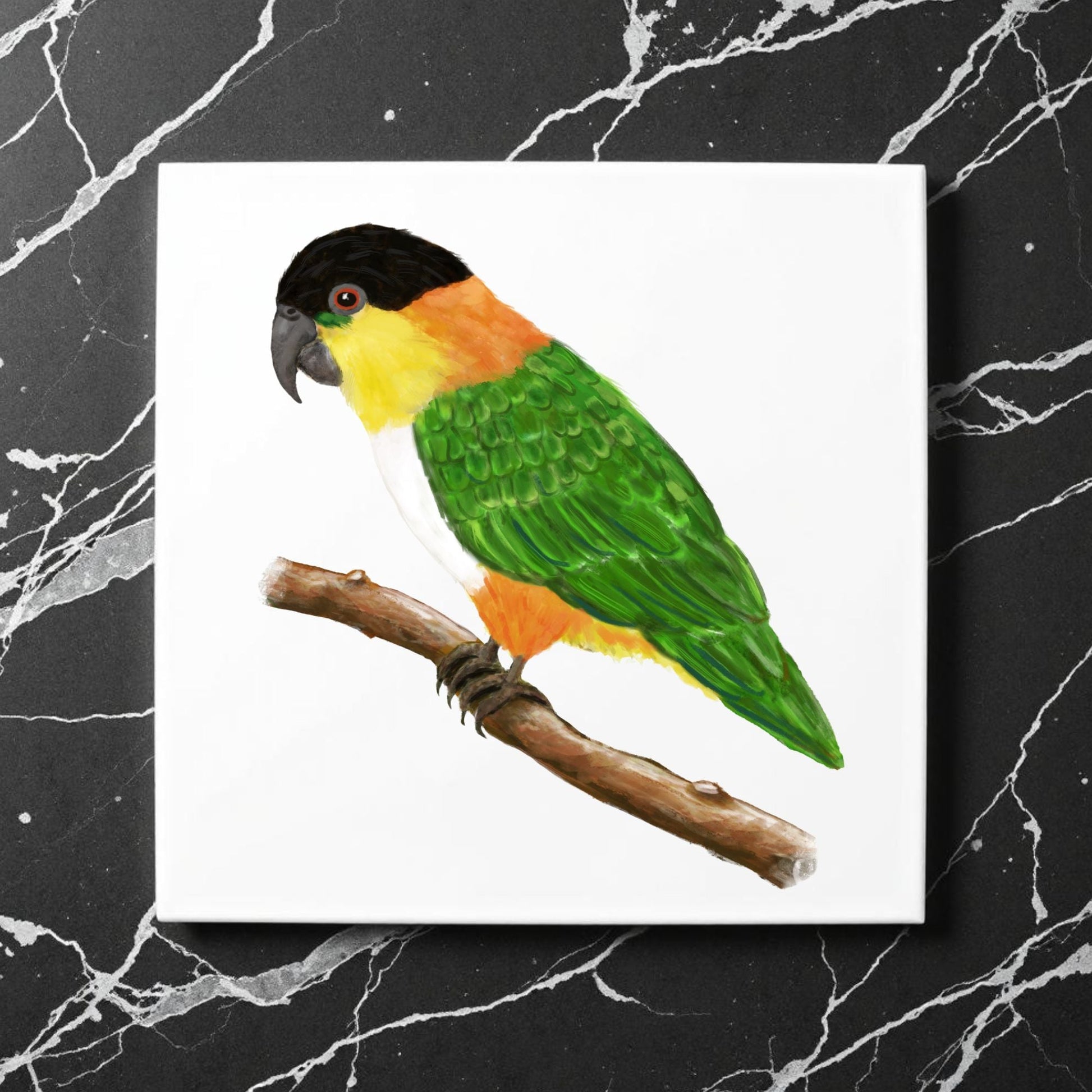 Black Headed Caique Parrot Ceramic Tile - MerikaArt