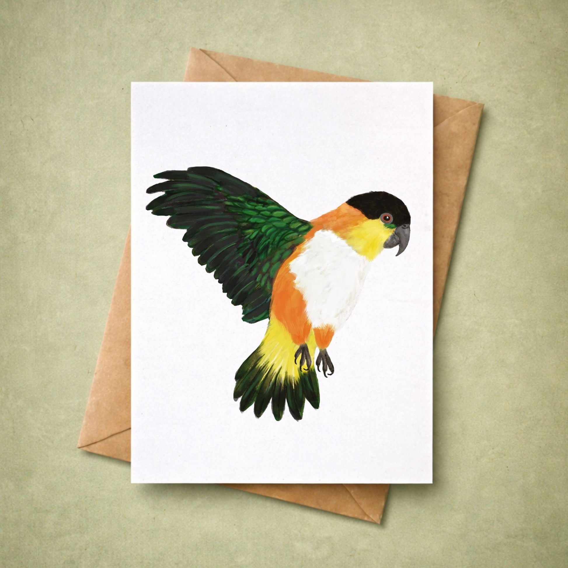 Black - headed Caique Postcard - MerikaArt