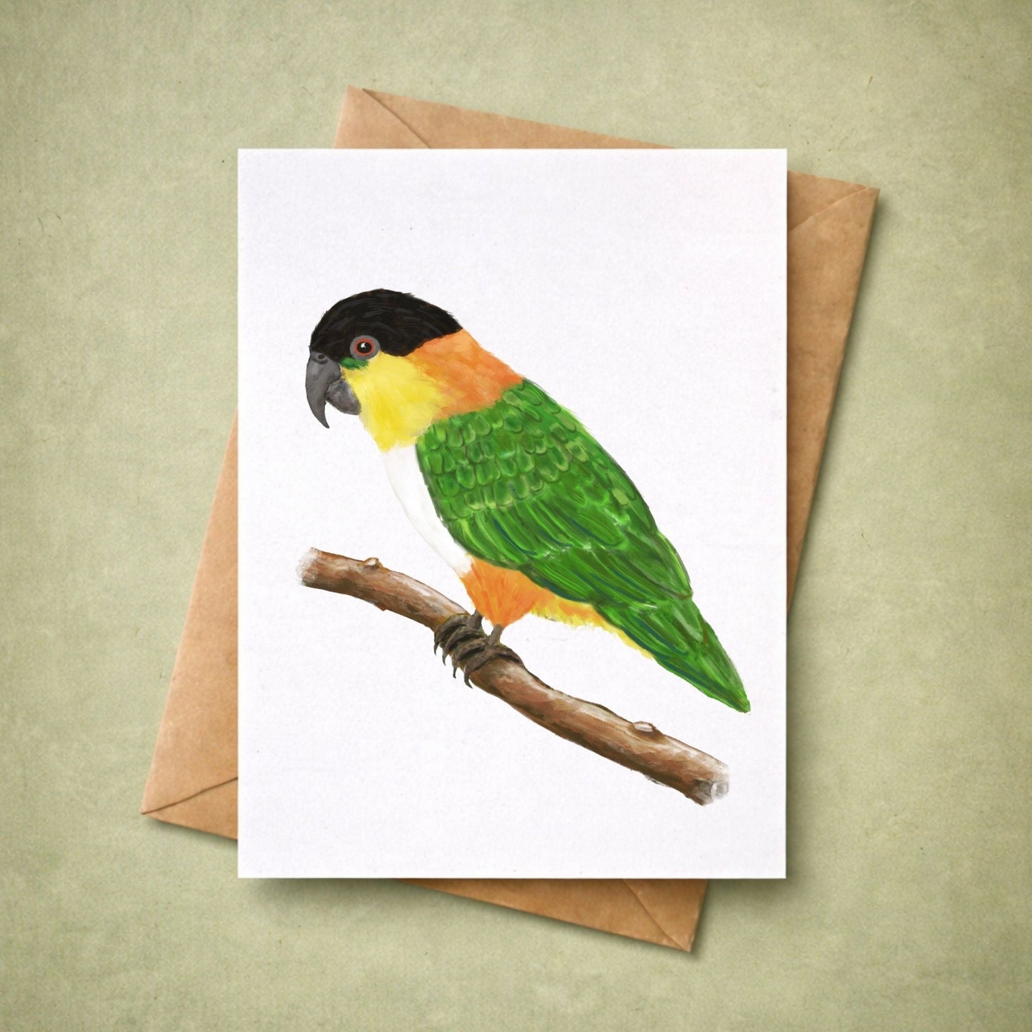Black - headed Caique Postcard - MerikaArt