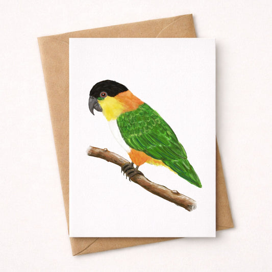 Black - headed Caique Postcard - MerikaArt