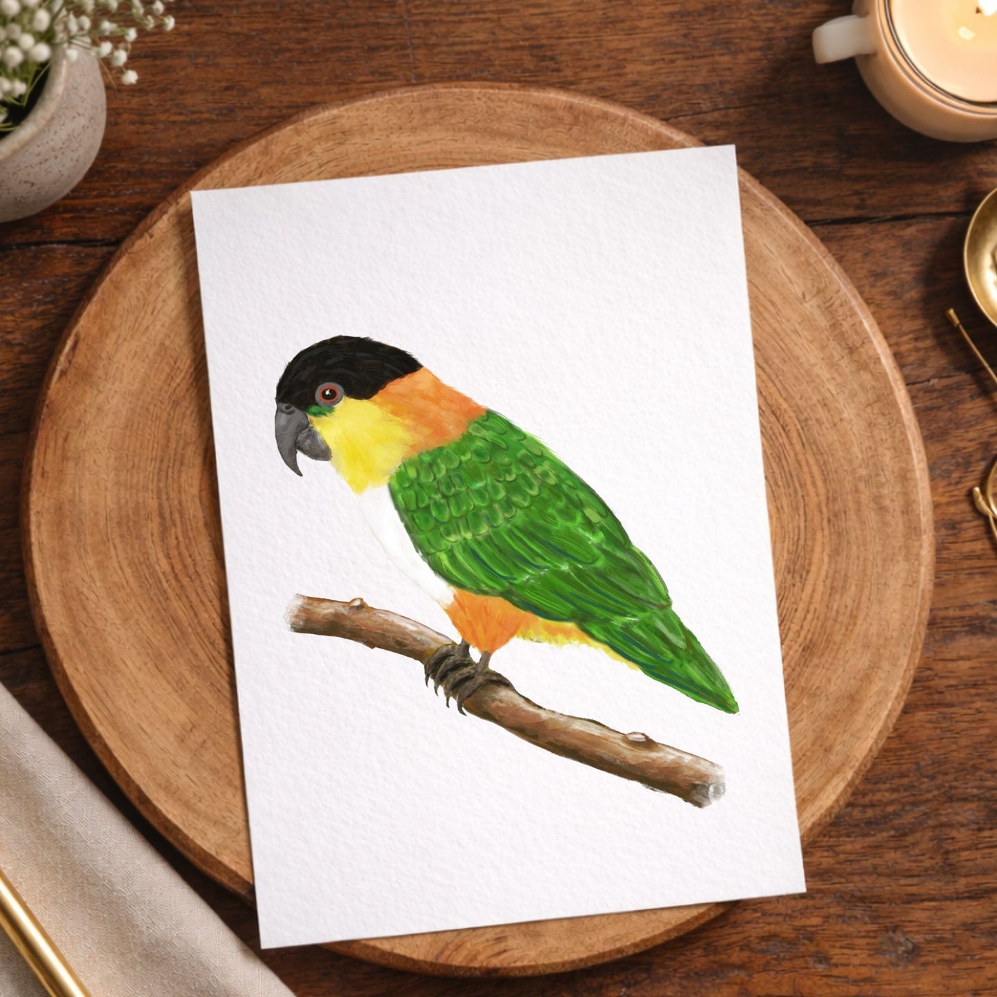 Black - headed Caique Postcard - MerikaArt