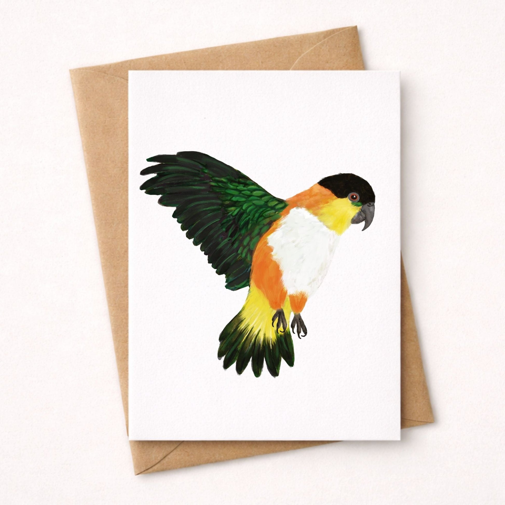 Black - headed Caique Postcard - MerikaArt