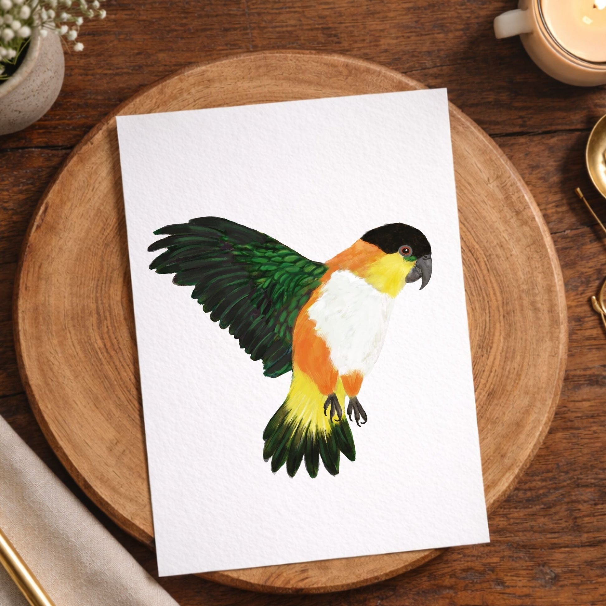 Black - headed Caique Postcard - MerikaArt