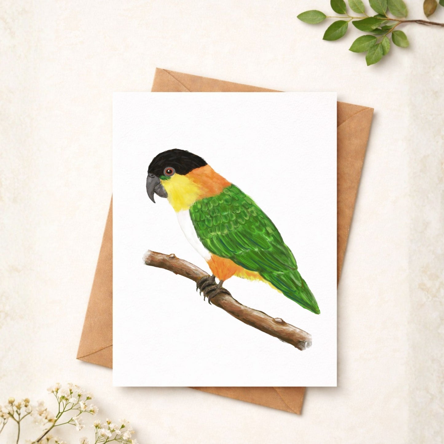 Black - headed Caique Postcard - MerikaArt