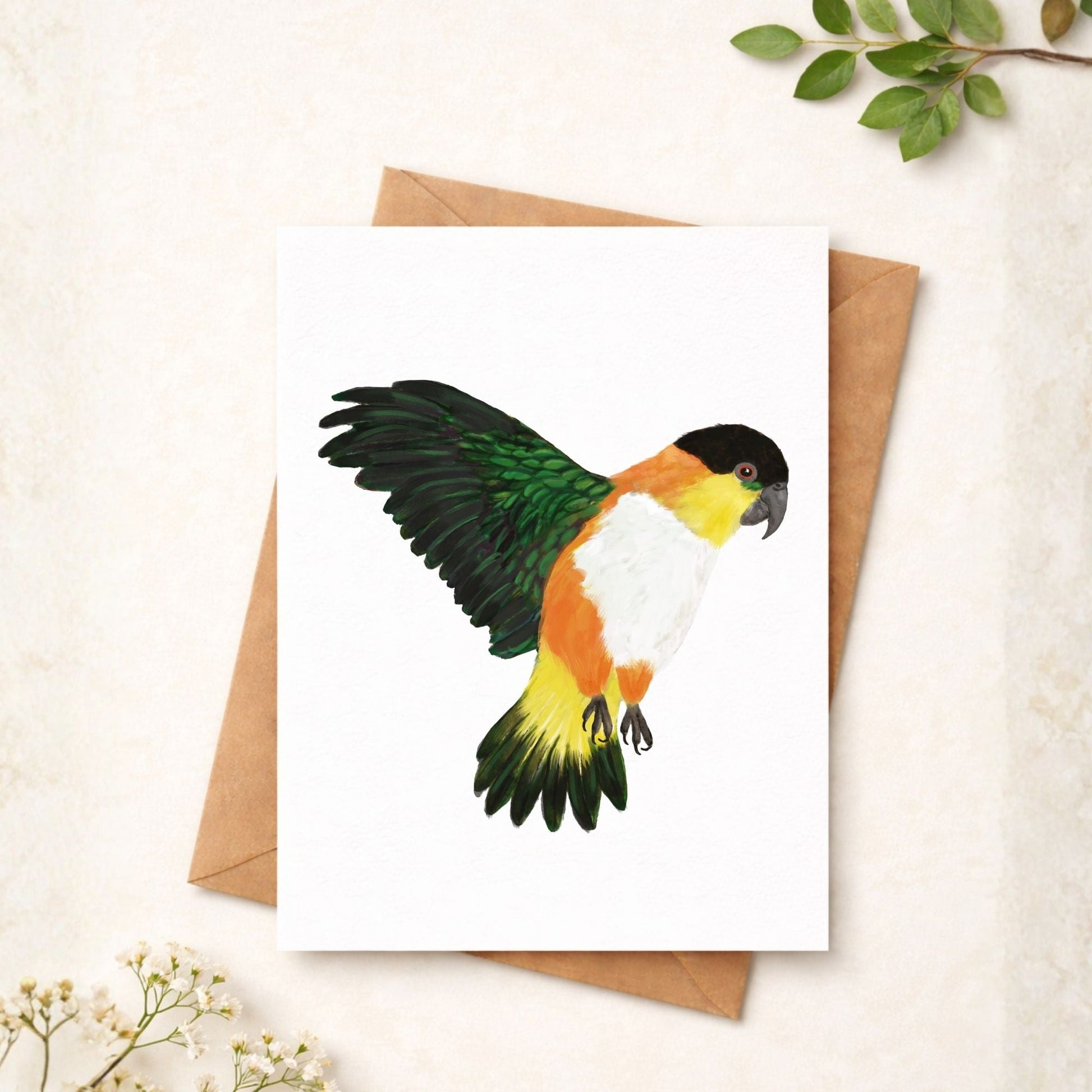 Black - headed Caique Postcard - MerikaArt