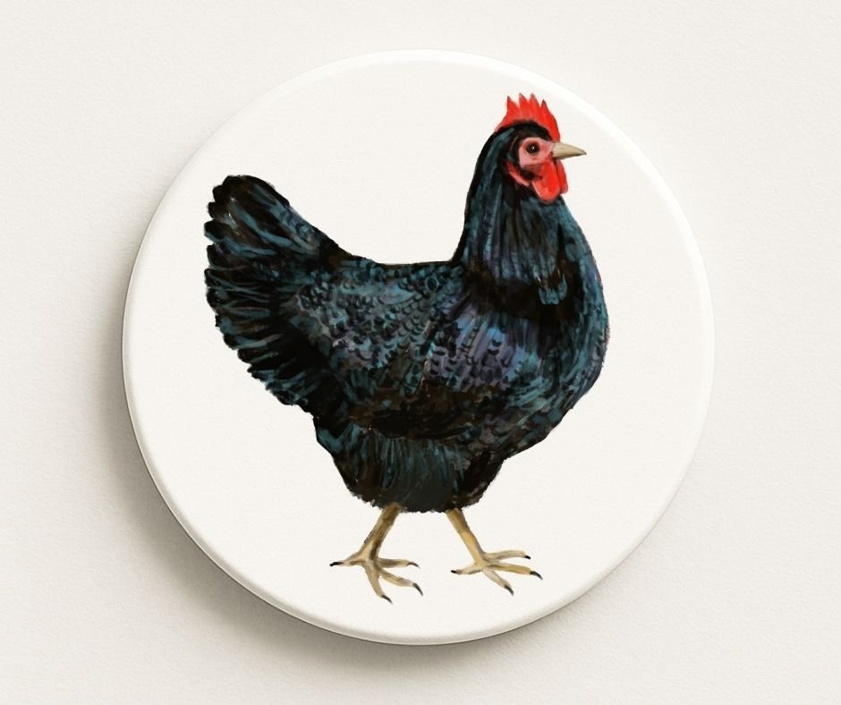 Black Hen Ceramic Coaster - MerikaArt