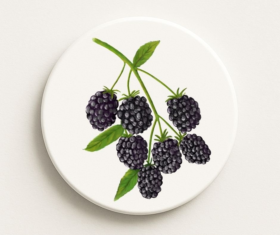 Blackberry Ceramic Coaster - MerikaArt