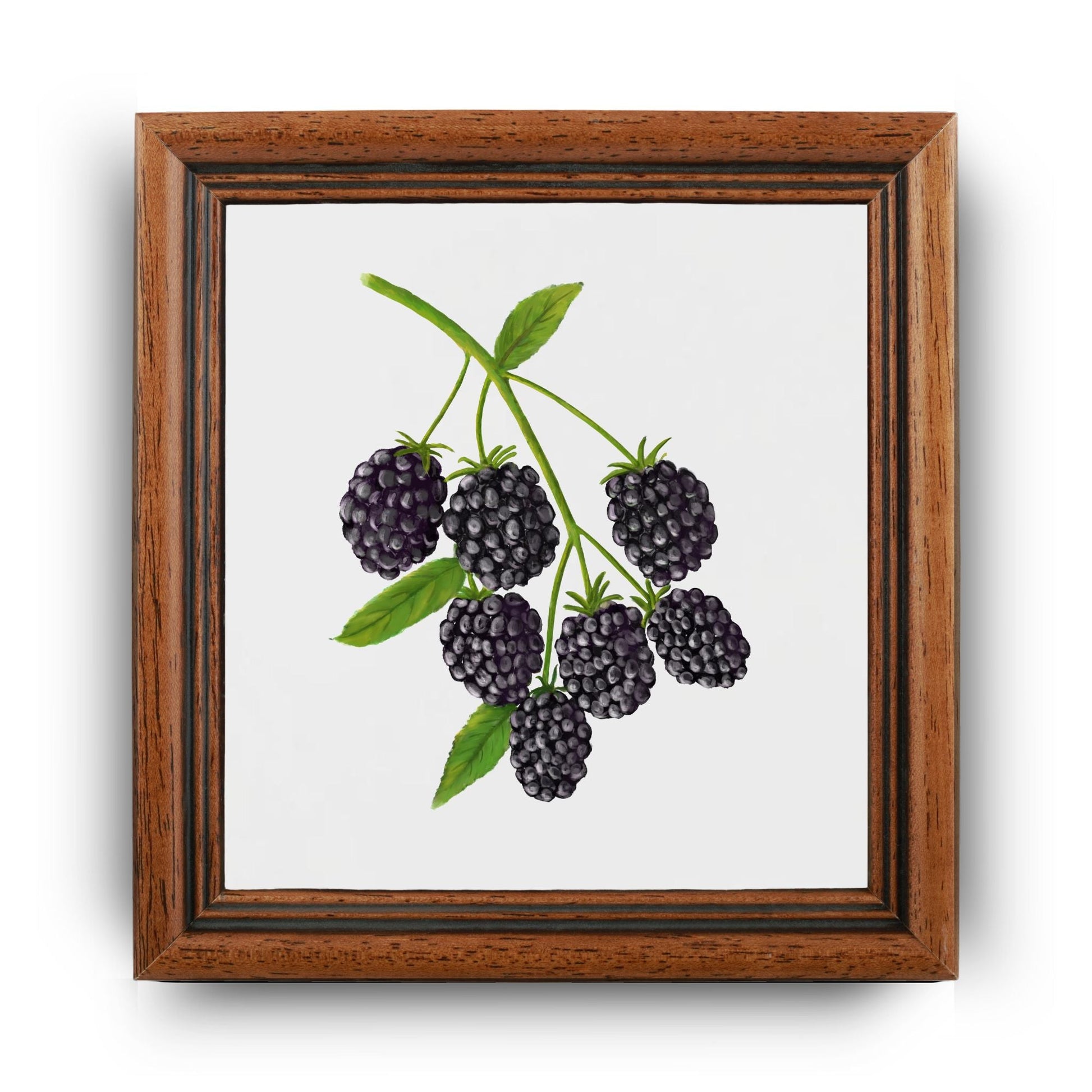 Blackberry Cluster Ceramic Tile – Handcrafted Fruit Artwork - MerikaArt