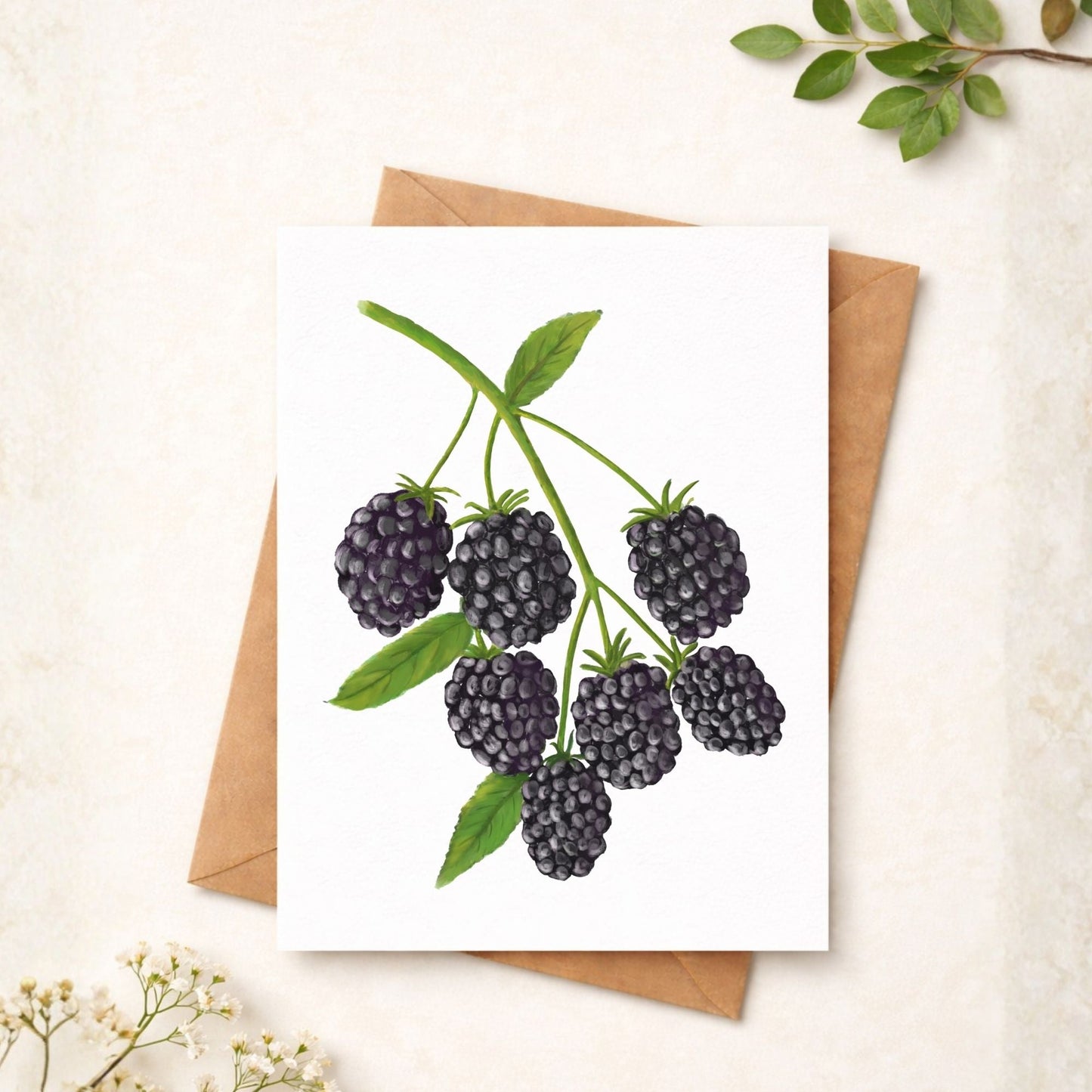 Blackberry Postcard - MerikaArt