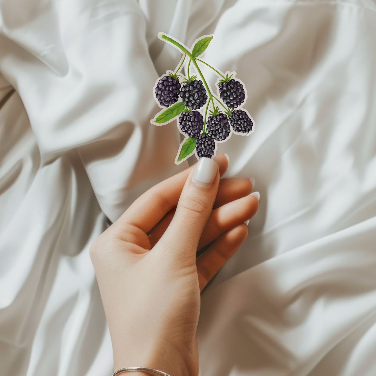 Blackberry Vinyl Sticker - MerikaArt