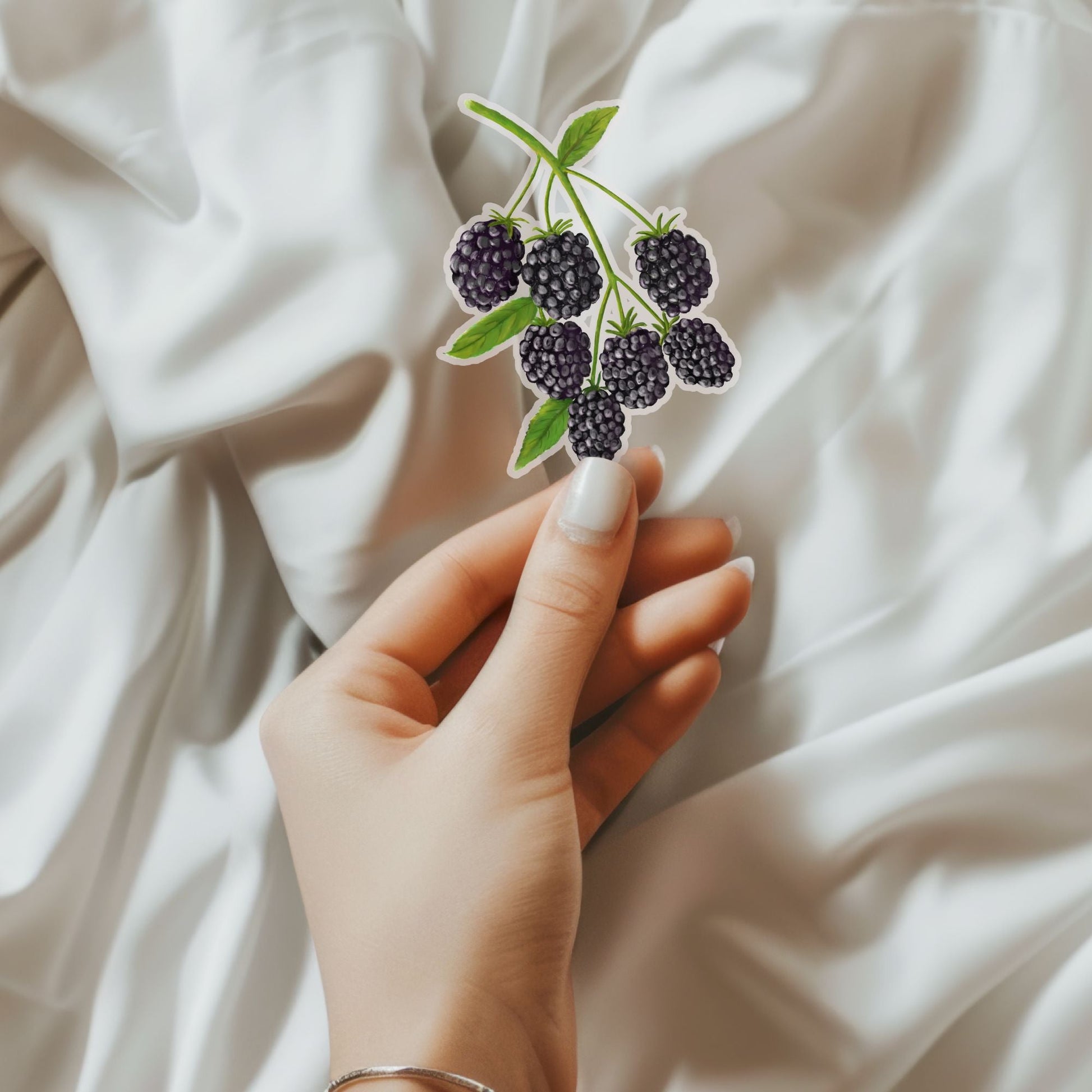 Blackberry Vinyl Sticker - MerikaArt
