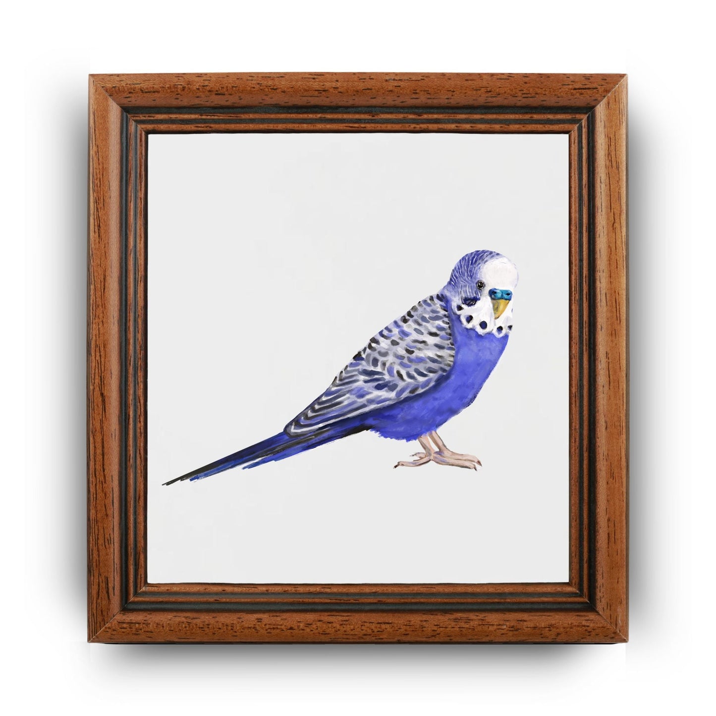 Blue Budgerigar Ceramic Tile – Handcrafted Bird Lover Artwork - MerikaArt