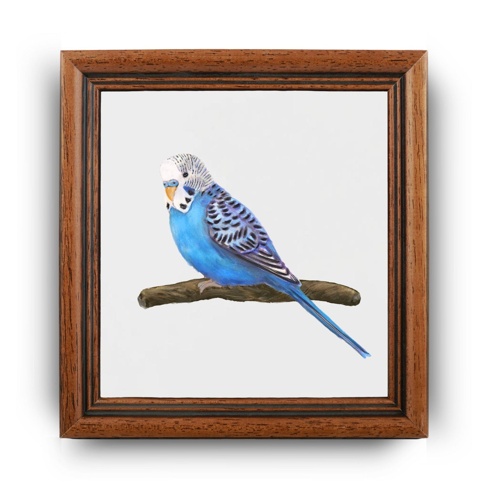 Blue Budgie Ceramic Tile - MerikaArt