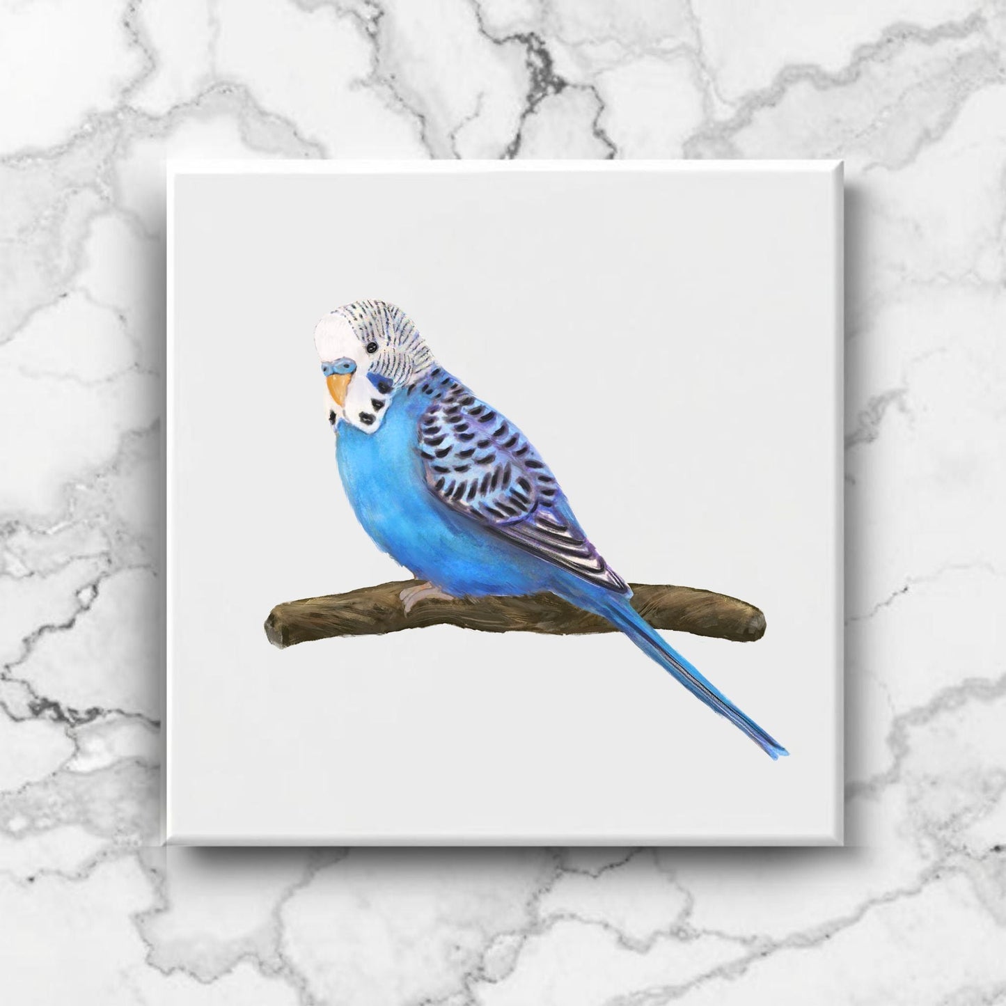 Blue Budgie Ceramic Tile - MerikaArt