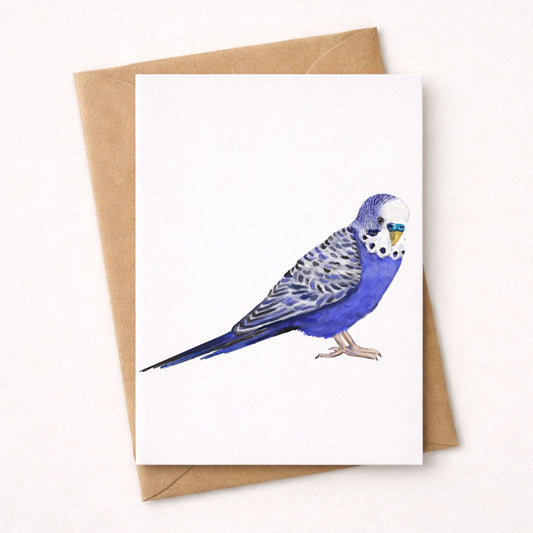 Blue Budgie Postcard - MerikaArt