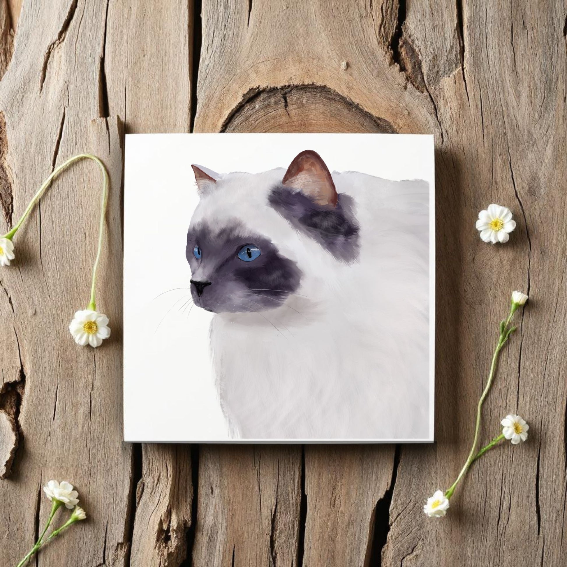 Blue - Eyed Ragdoll Cat Ceramic Tile - MerikaArt