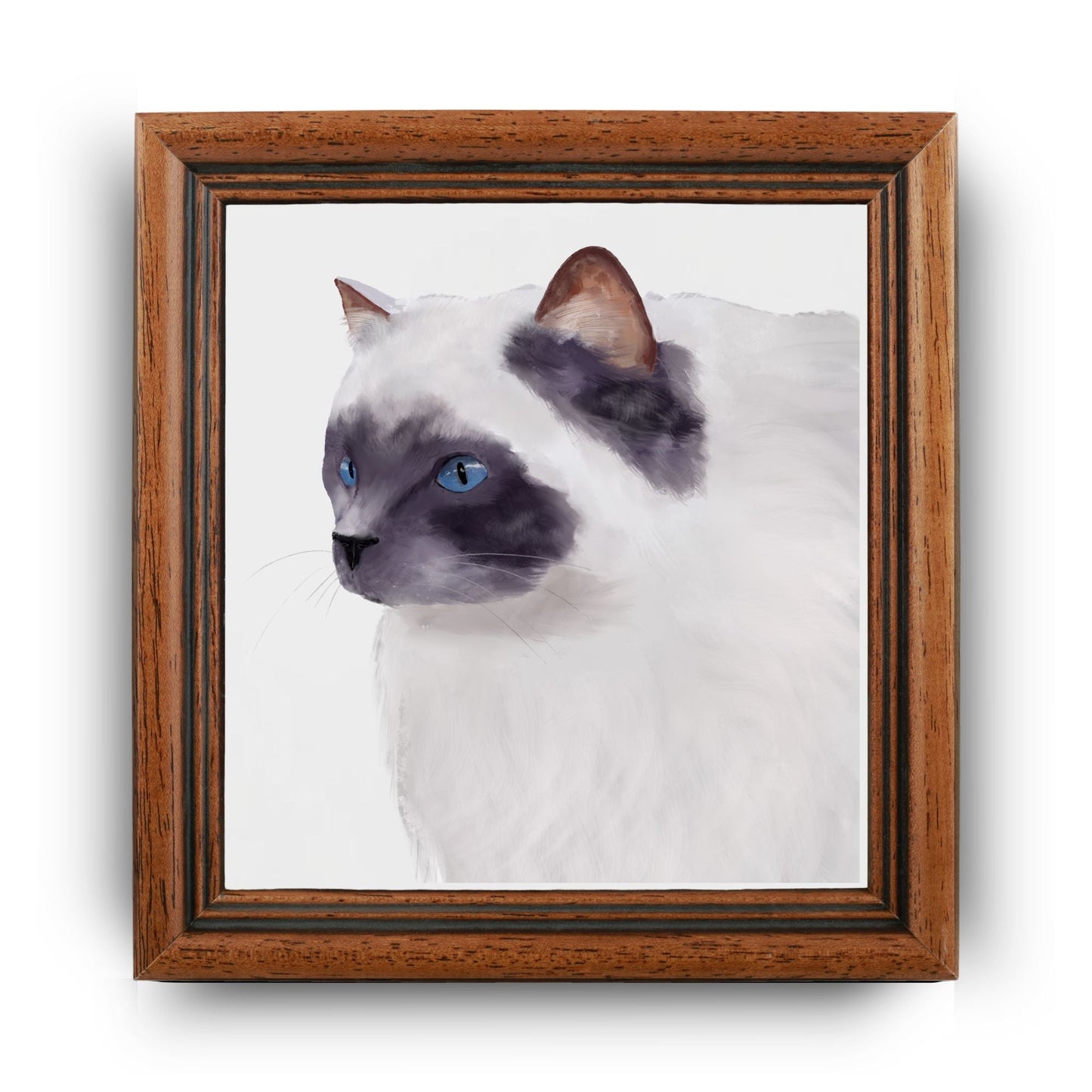 Blue - Eyed Ragdoll Cat Ceramic Tile - MerikaArt