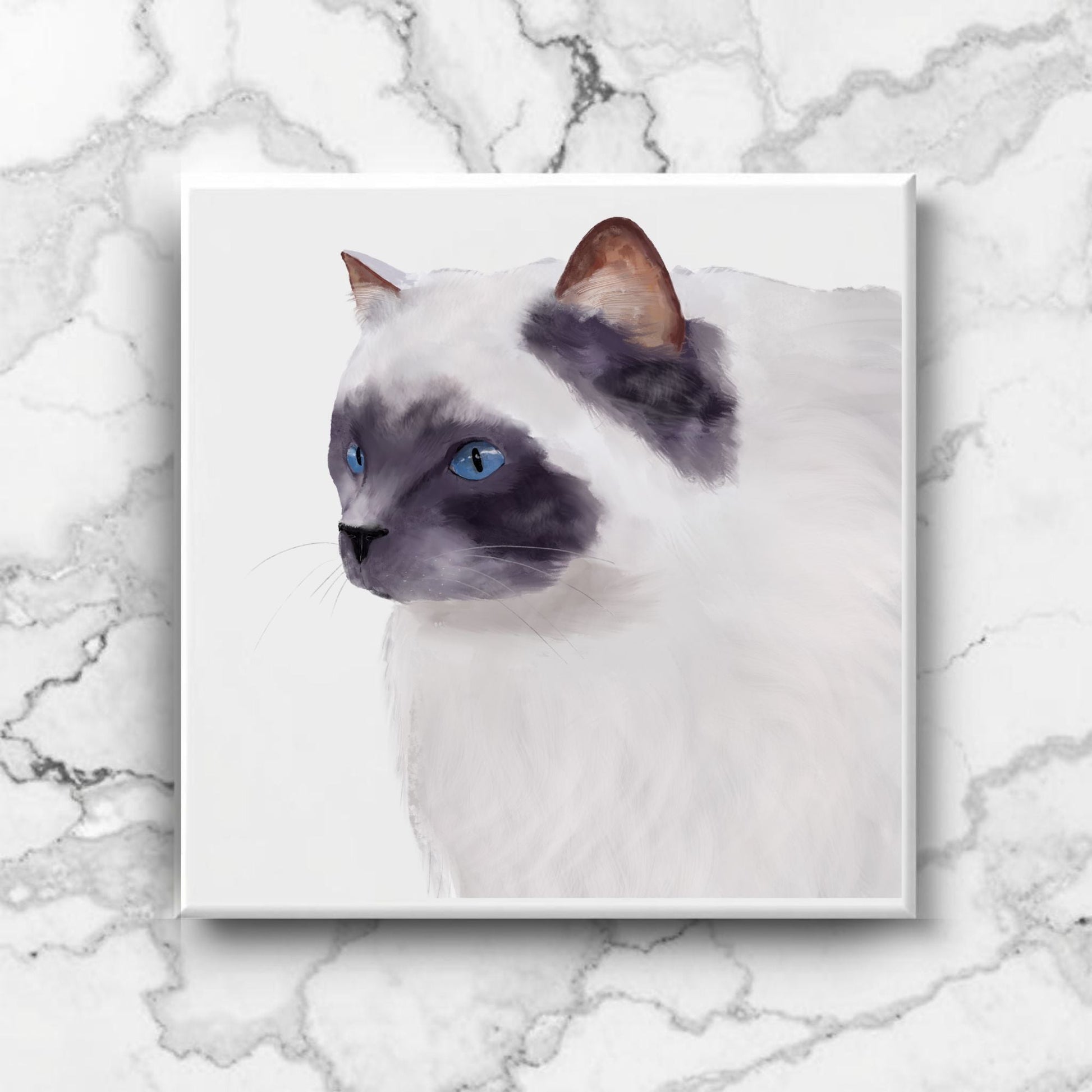 Blue - Eyed Ragdoll Cat Ceramic Tile - MerikaArt