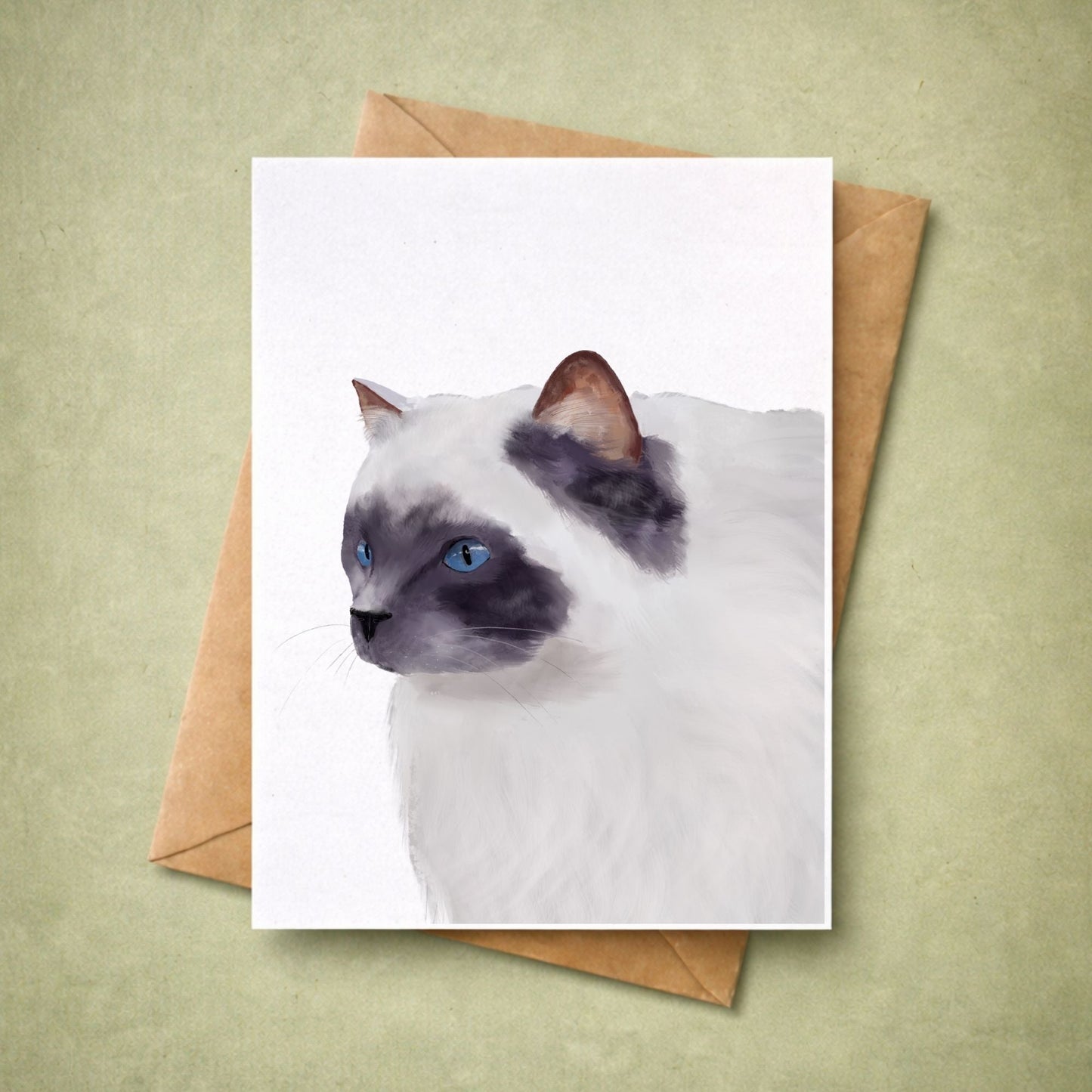 Blue - Eyed Ragdoll Cat Postcard - MerikaArt