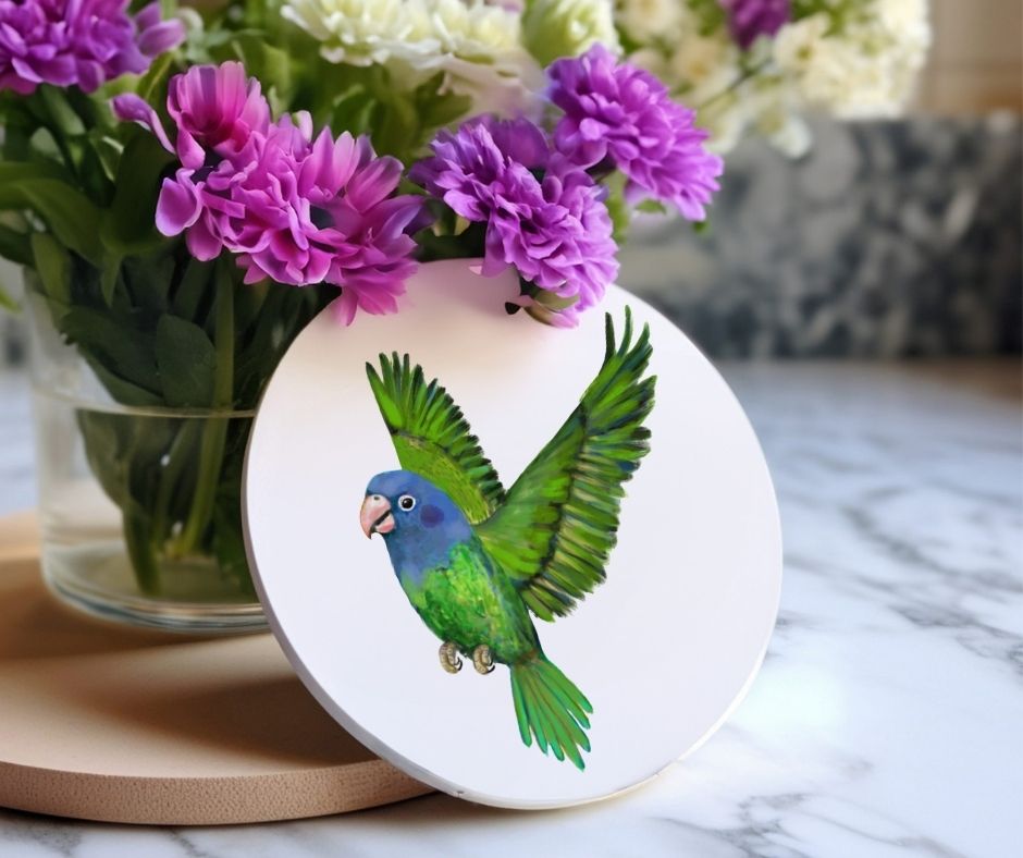 Blue Headed Parrot Ceramic Coaster - MerikaArt