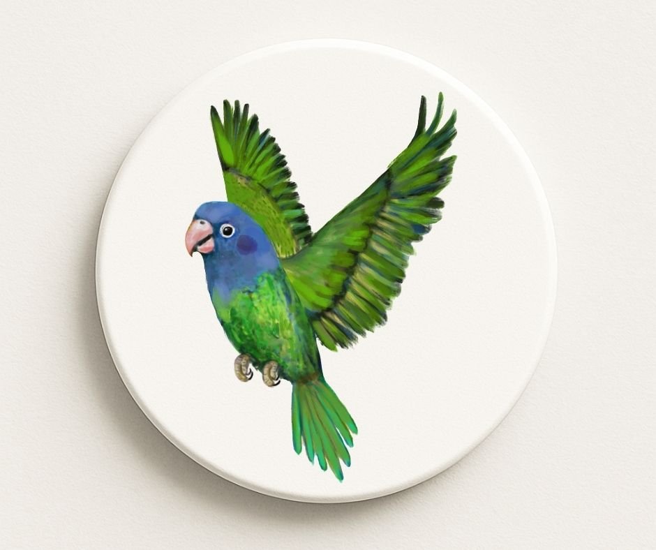 Blue Headed Parrot Ceramic Coaster - MerikaArt