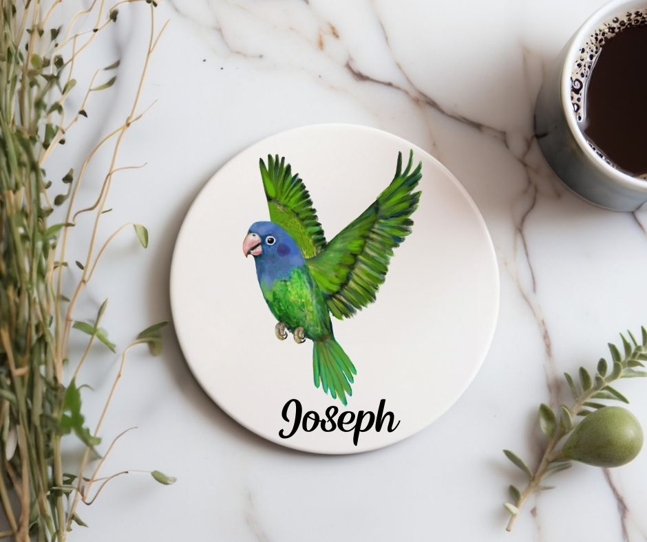Blue Headed Parrot Ceramic Coaster - MerikaArt