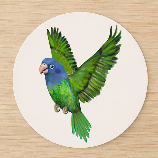 Blue - Headed Parrot Mousepad - MerikaArt