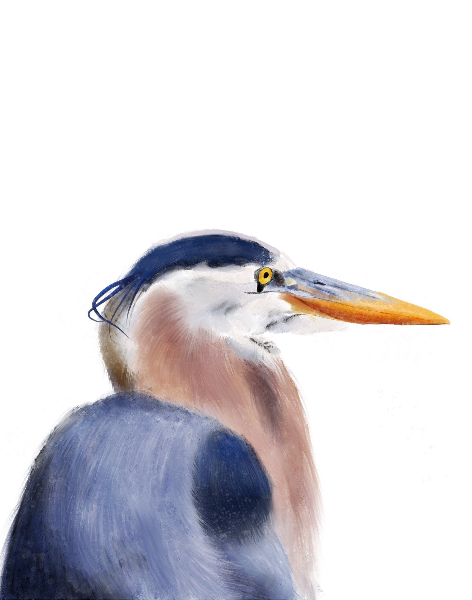 Blue Heron Bird Print - MerikaArt