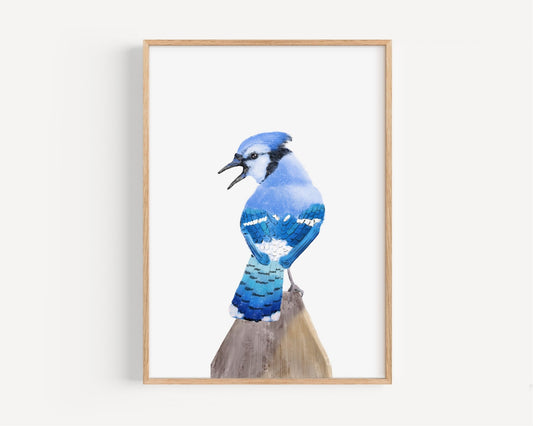 Blue Jay Art Print – Vibrant Bird Decor with Personality - MerikaArt