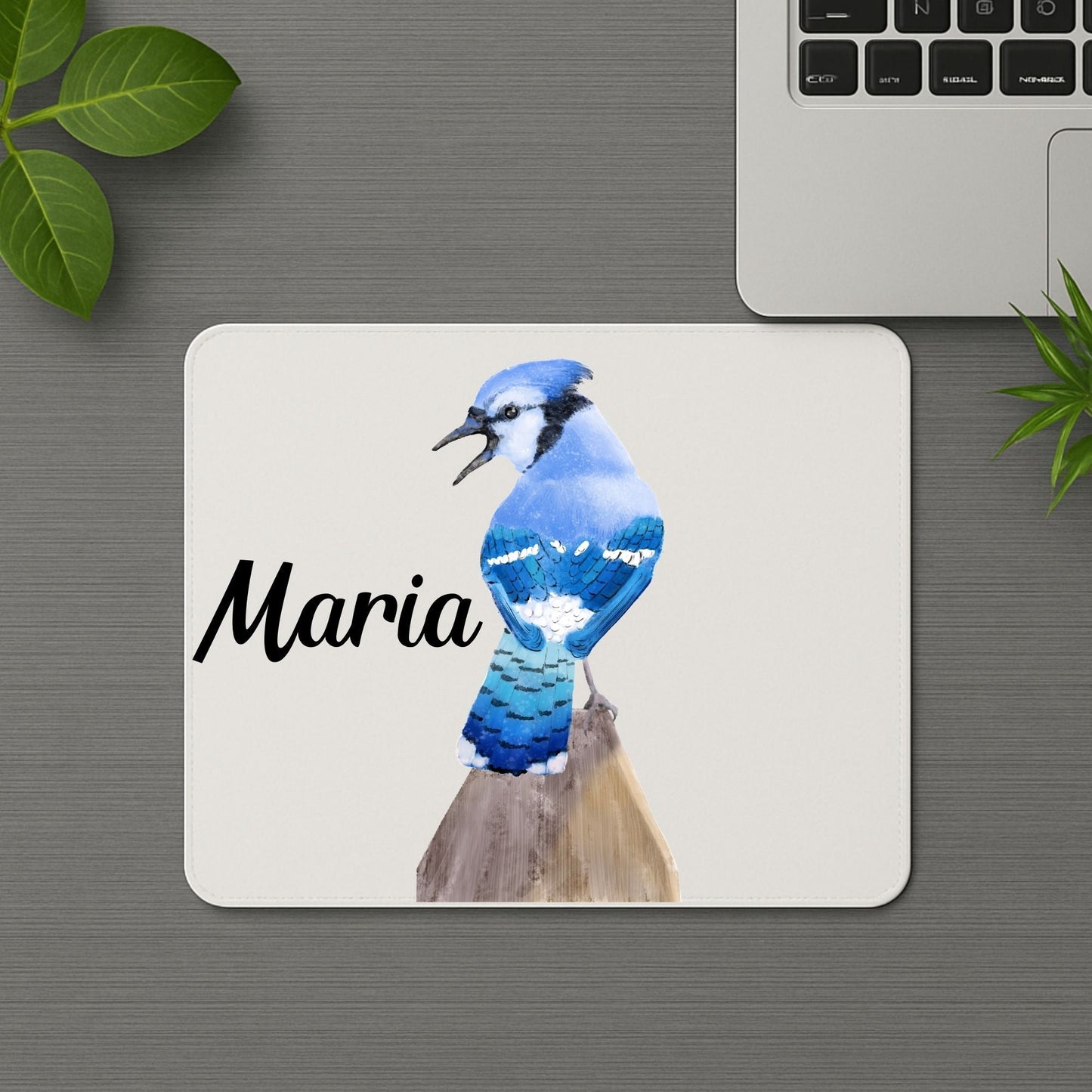 Blue Jay Bird Mousepad - MerikaArt
