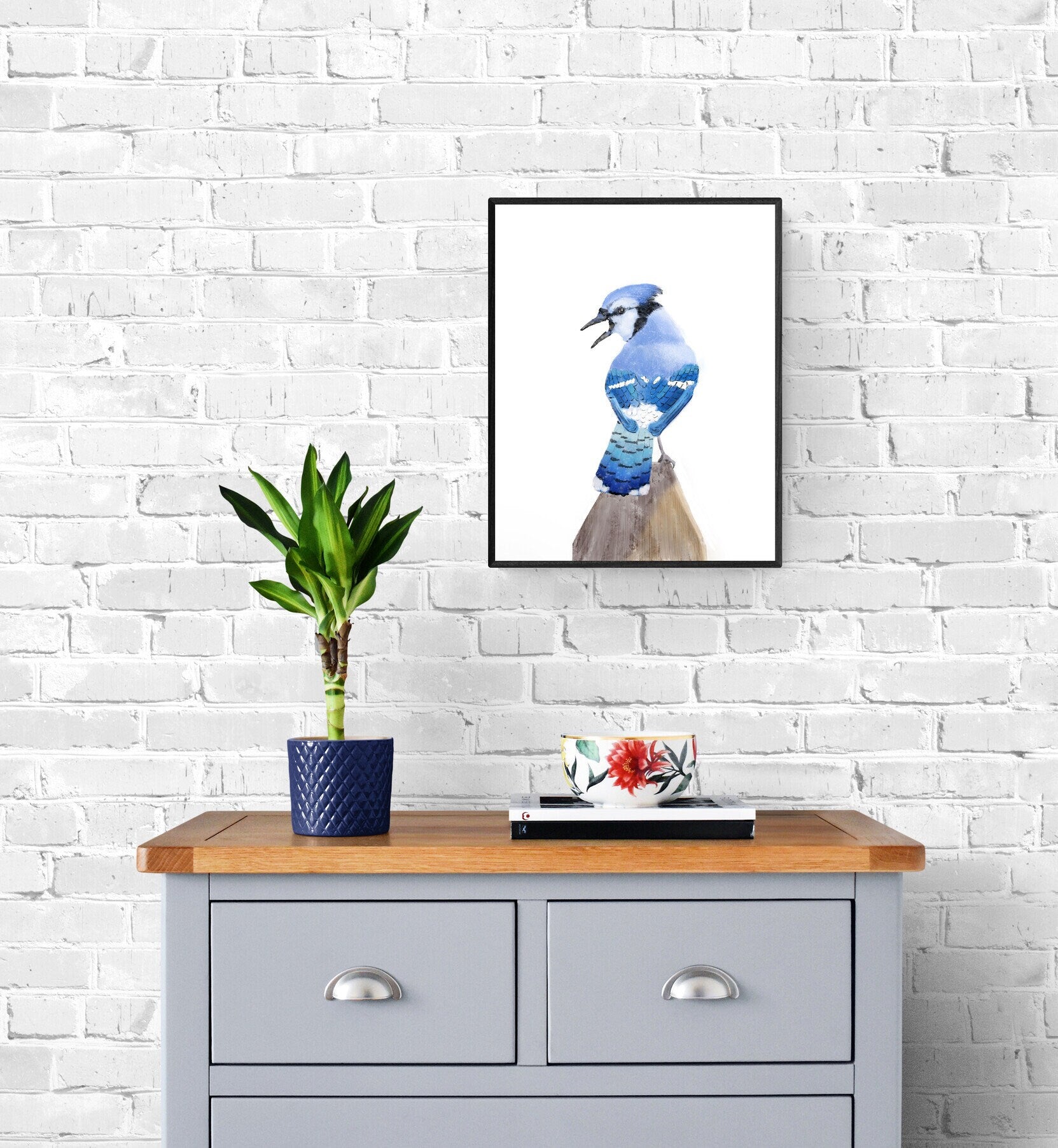 Blue Jay Bird Print - MerikaArt