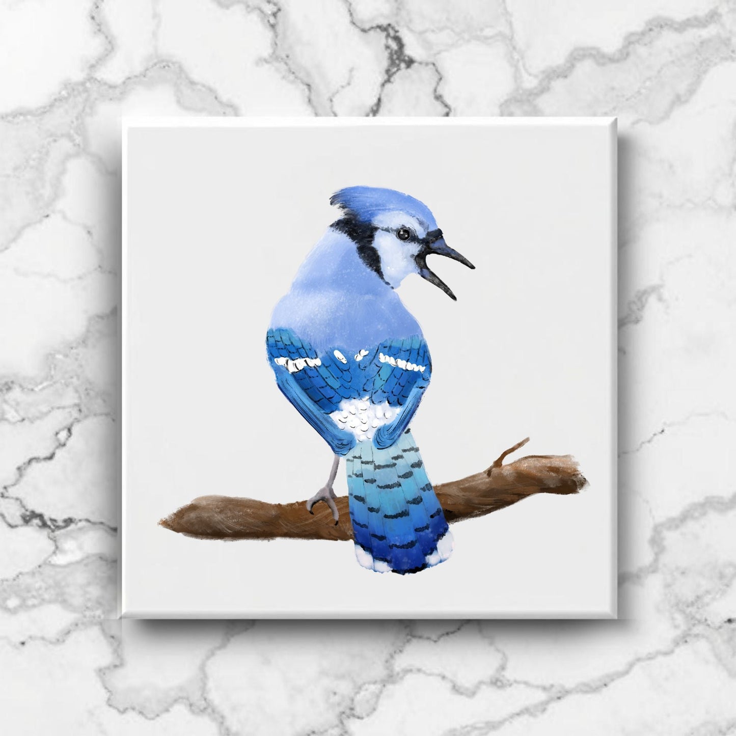 Blue Jay Ceramic Tile - MerikaArt