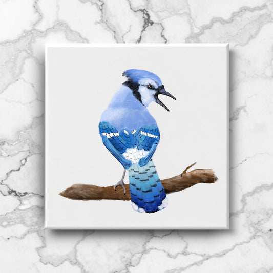 Blue Jay Ceramic Tile - MerikaArt