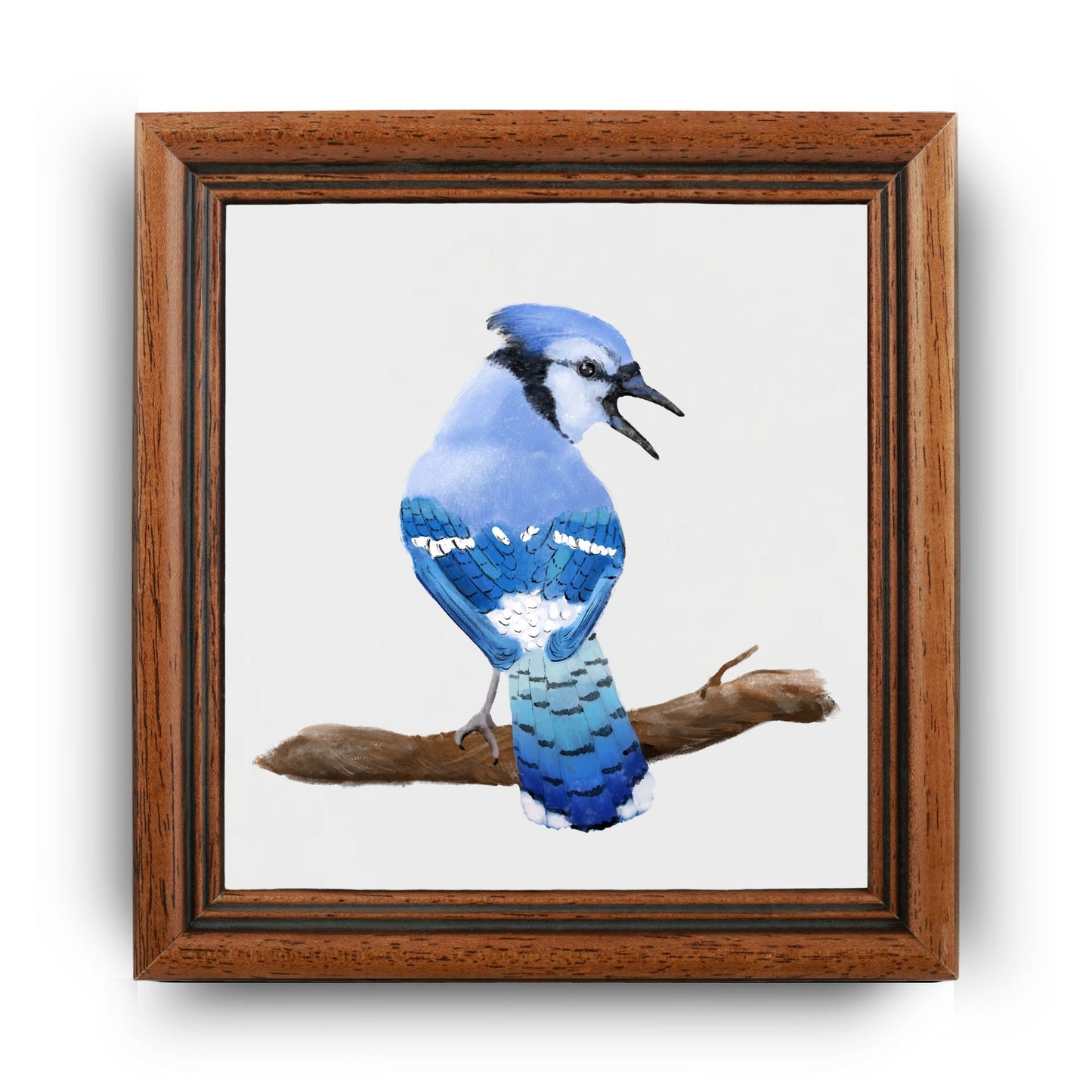 Blue Jay Ceramic Tile - MerikaArt