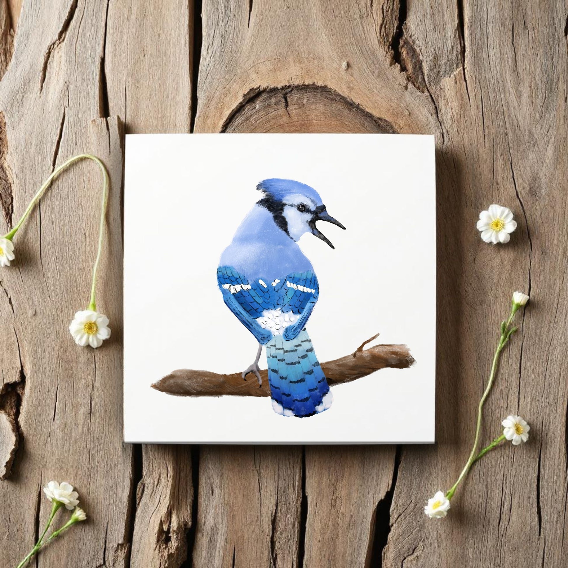 Blue Jay Ceramic Tile - MerikaArt