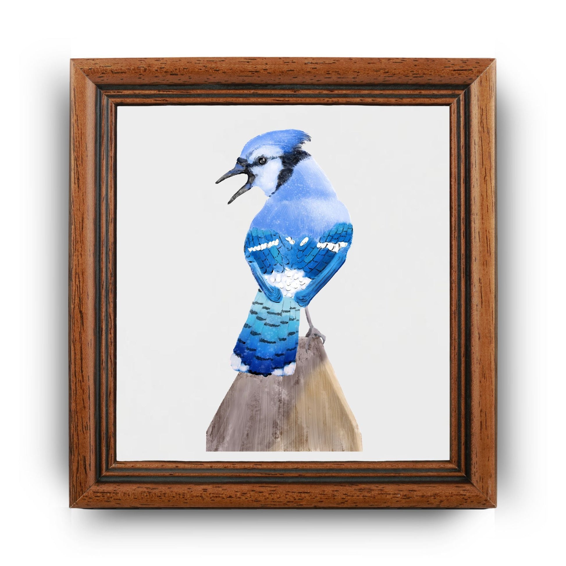 Blue Jay Ceramic Tile – Handcrafted Bird Art - MerikaArt