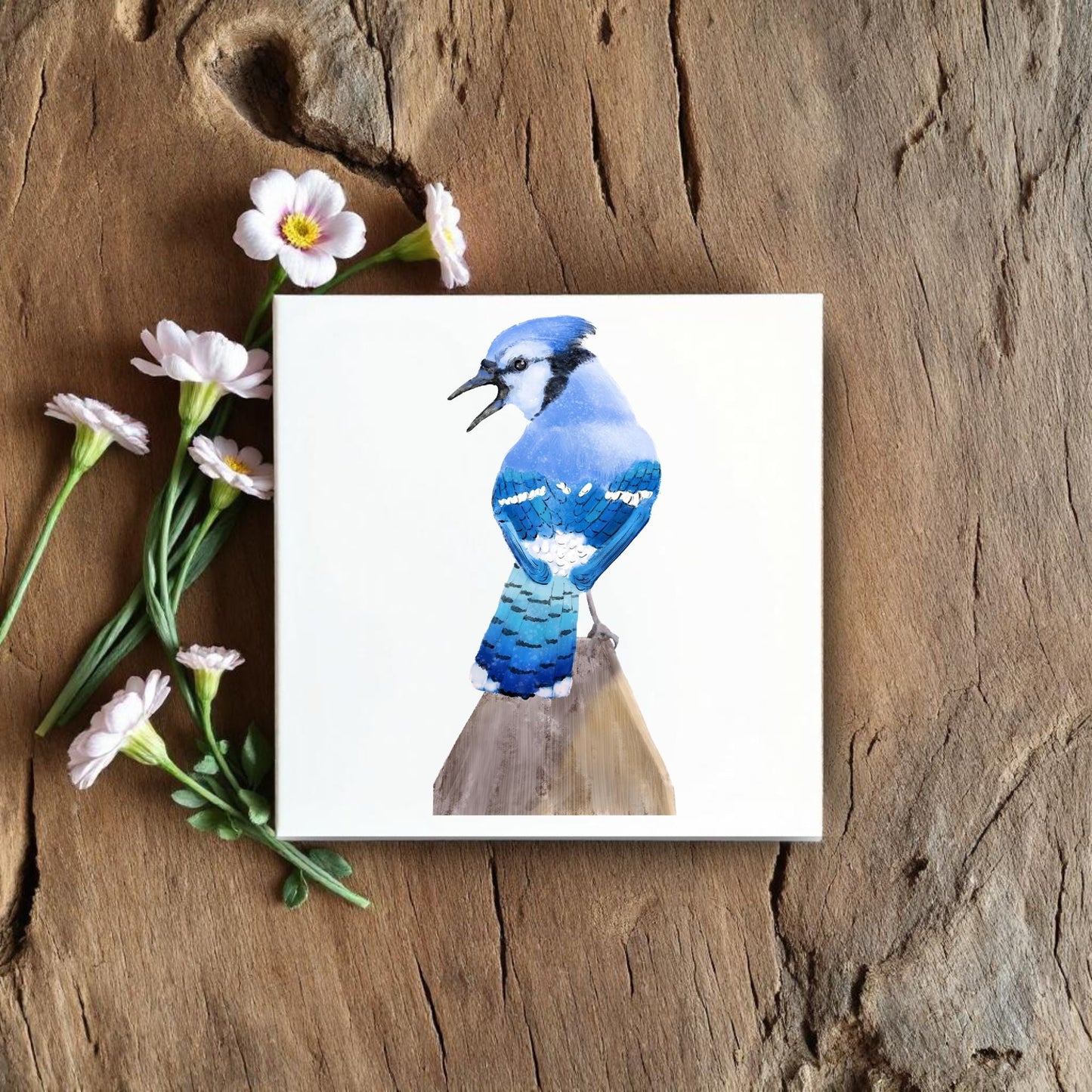 Blue Jay Ceramic Tile – Handcrafted Bird Art - MerikaArt