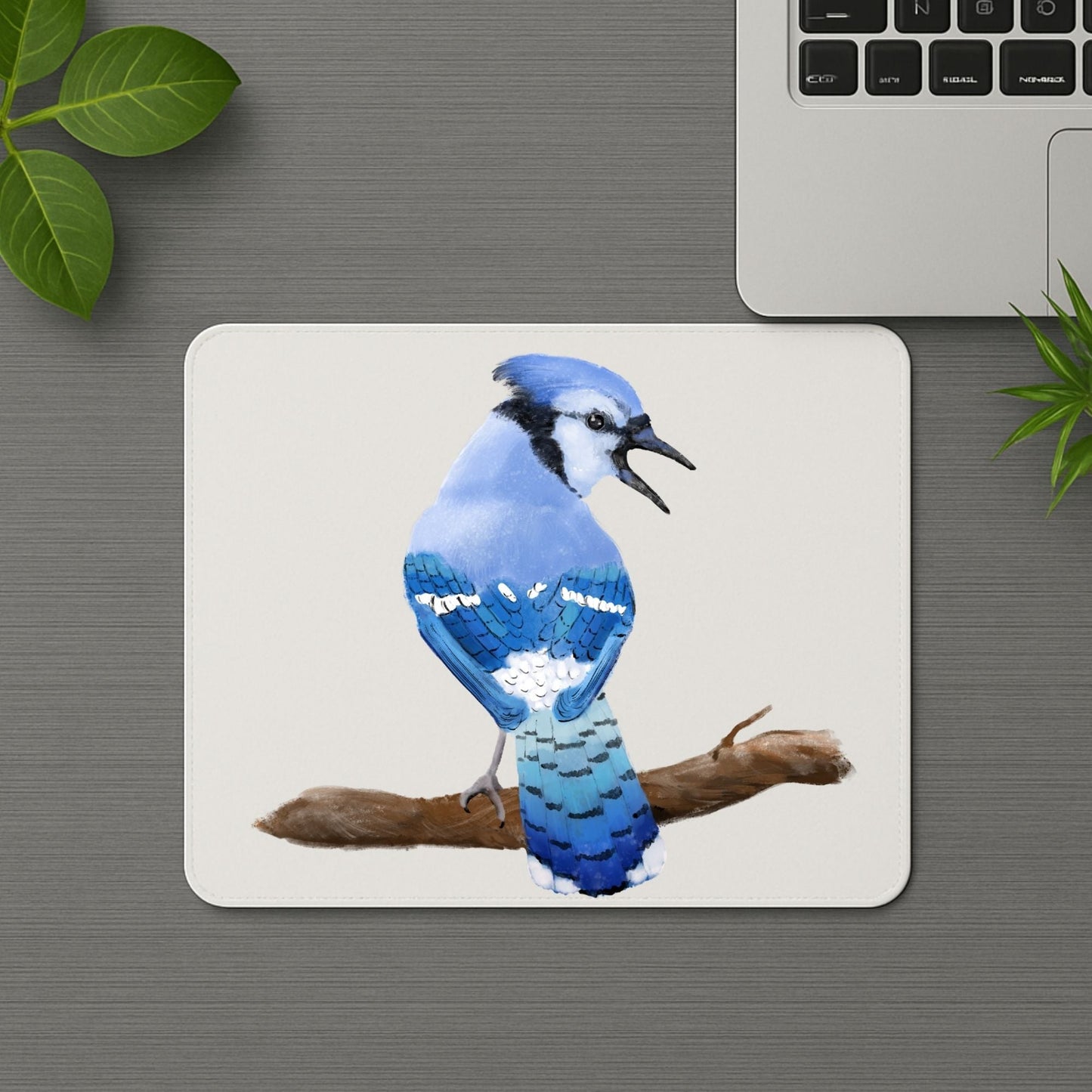 Blue Jay Mousepad - MerikaArt