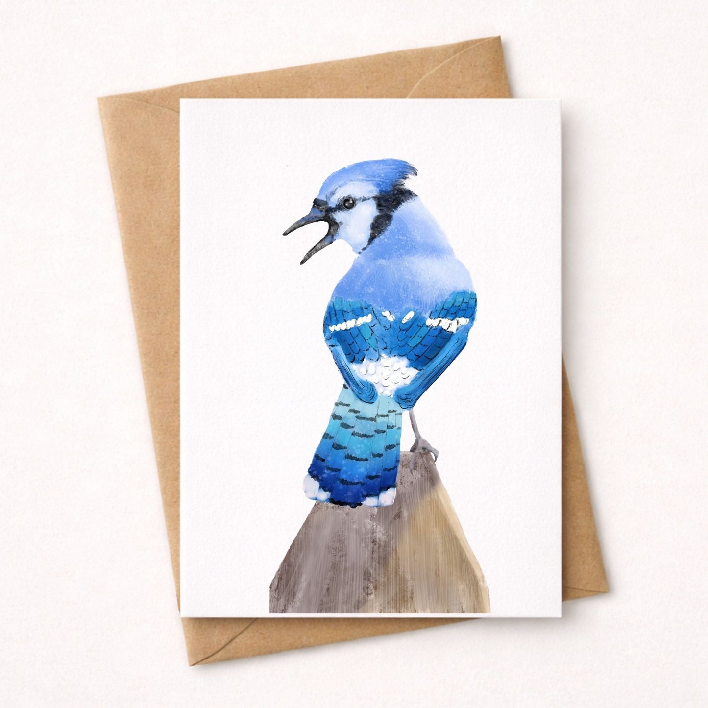 Blue Jay Postcard - MerikaArt