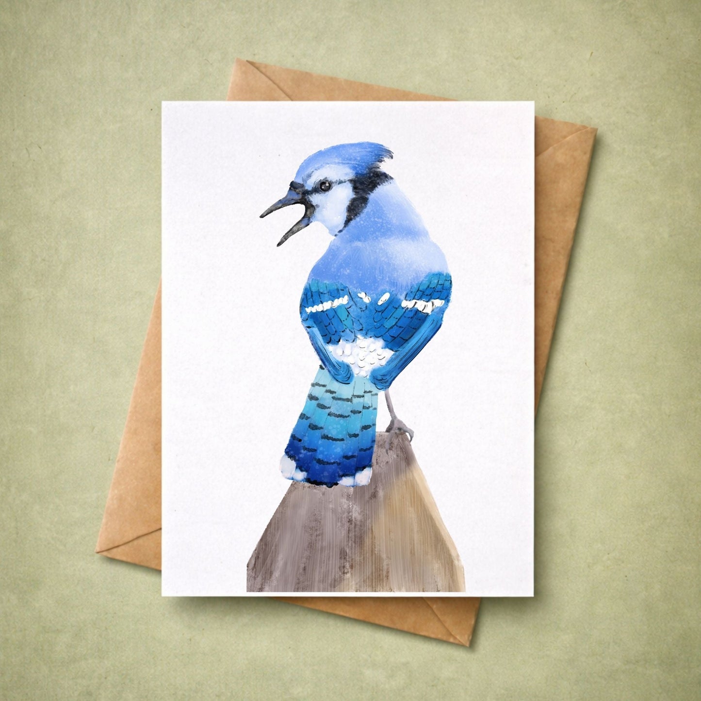 Blue Jay Postcard - MerikaArt