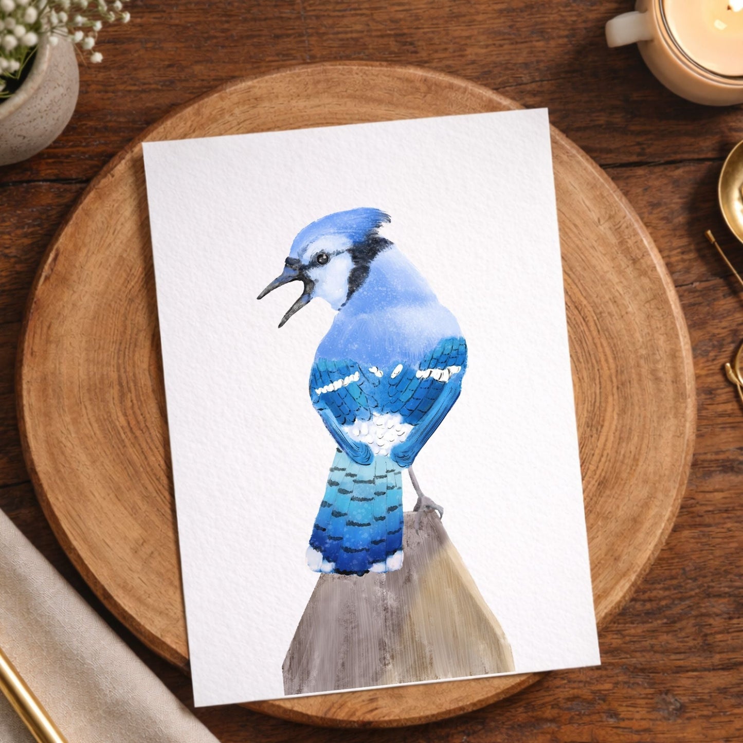 Blue Jay Postcard - MerikaArt